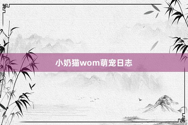 小奶猫wom萌宠日志