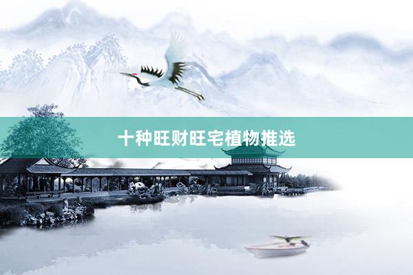 十种旺财旺宅植物推选