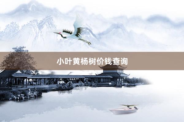 小叶黄杨树价钱查询