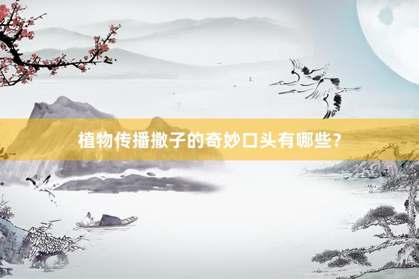 植物传播撒子的奇妙口头有哪些？