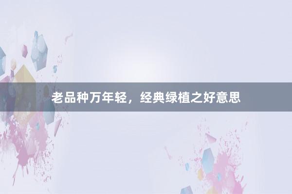 老品种万年轻，经典绿植之好意思