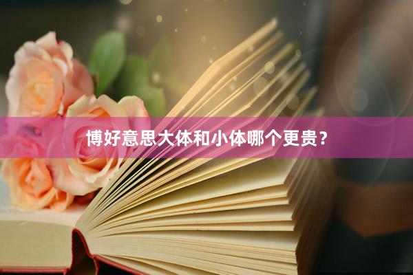 博好意思大体和小体哪个更贵？